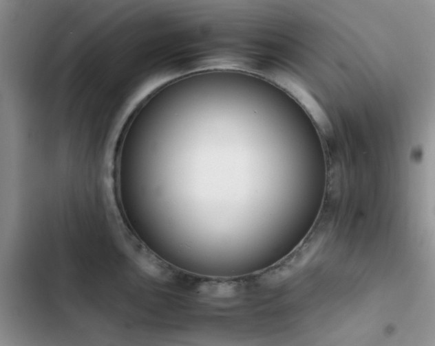 X0000102861051200808181436