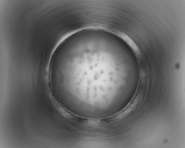 X0000102861052200808181436