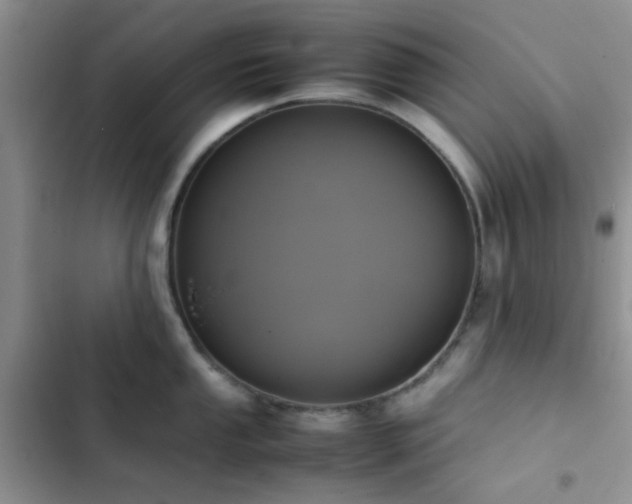 X0000102861053200808181436