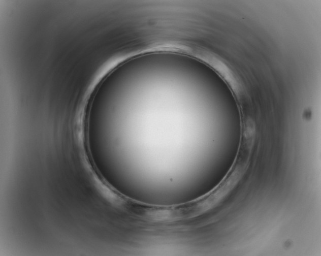 X0000102861054200808181436