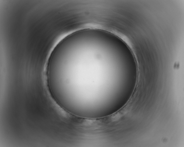 X0000102861056200808181437