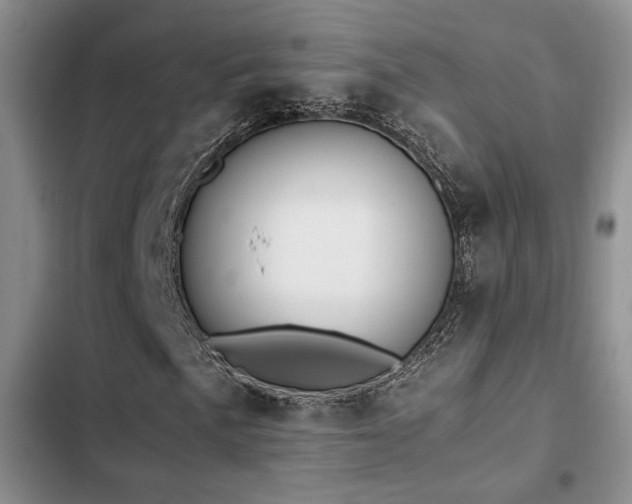 X0000102861057200808181436