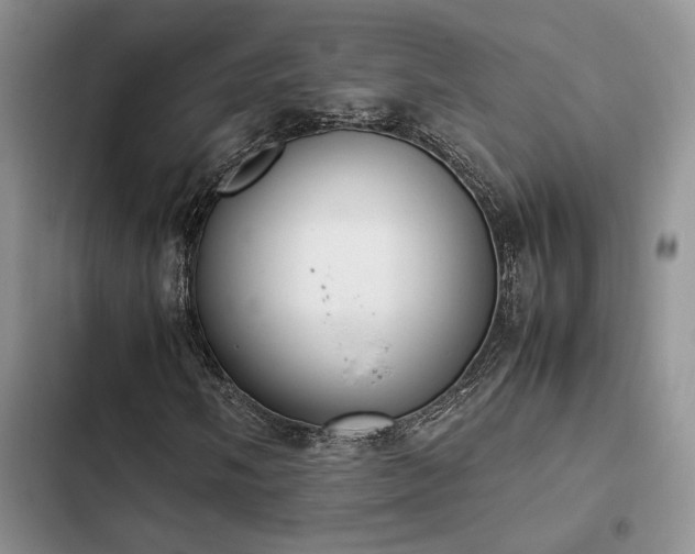 X0000102861058200808181436