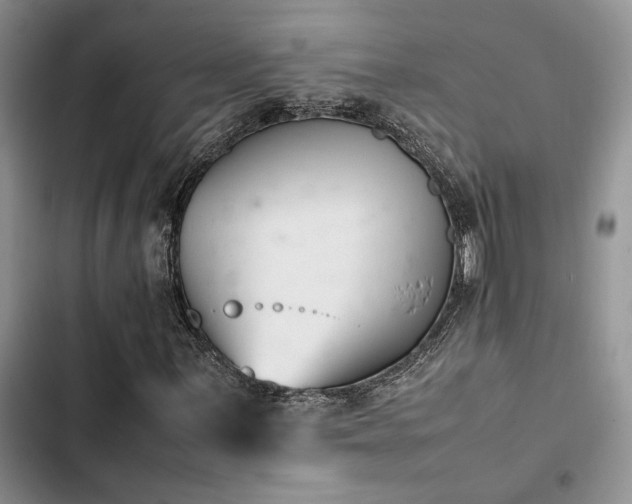 X0000102861059200808181436