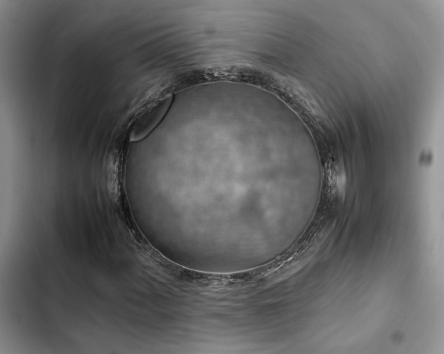 X0000102861060200808181436