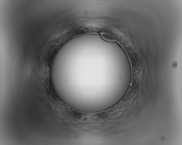 X0000102861061200808181436