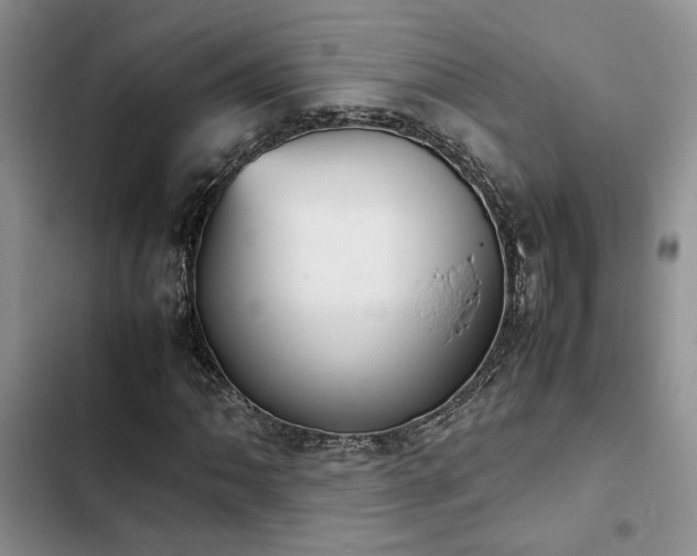 X0000102861062200808181436