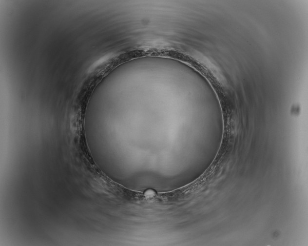 X0000102861063200808181436