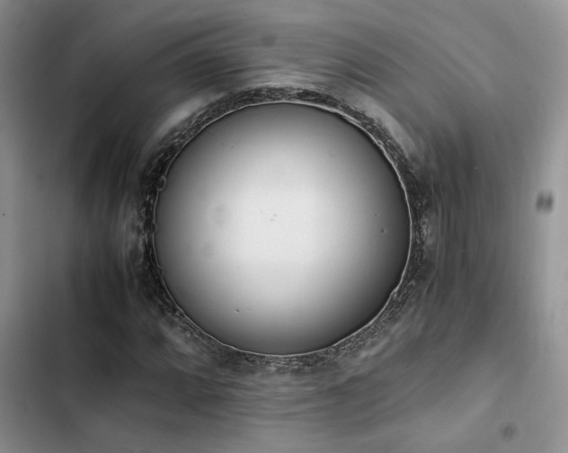 X0000102861064200808181436