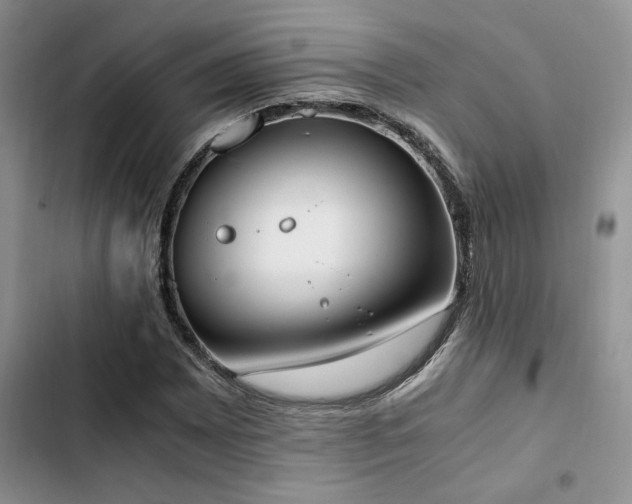 X0000102861065200808181436