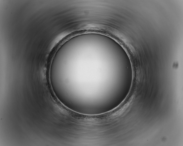 X0000102861066200808181436