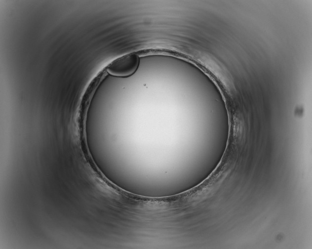 X0000102861068200808181435