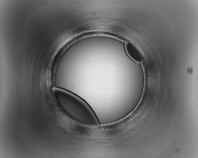 X0000102861069200808181435