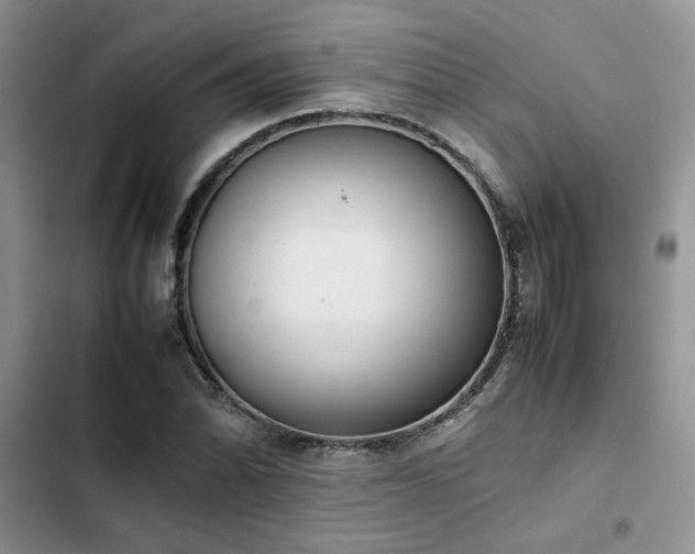 X0000102861070200808181435