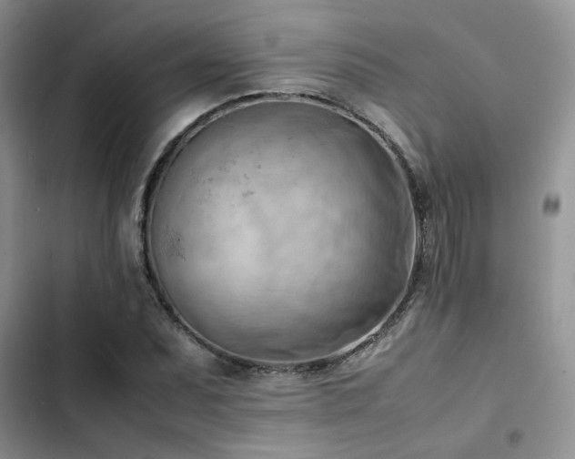 X0000102861071200808181435