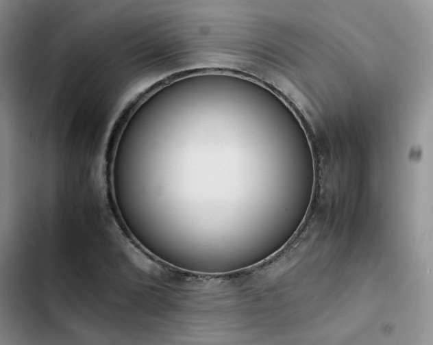 X0000102861072200808181435