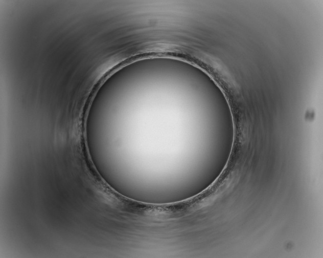 X0000102861073200808181435