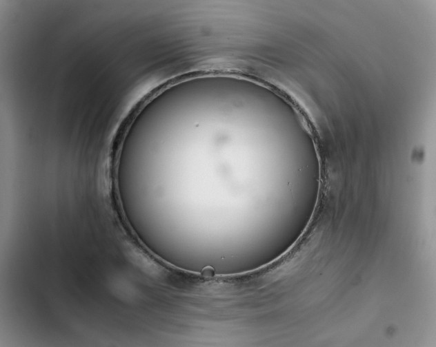 X0000102861075200808181435