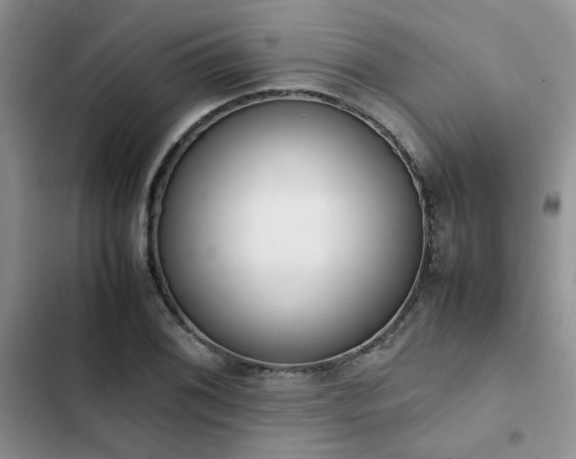 X0000102861076200808181435