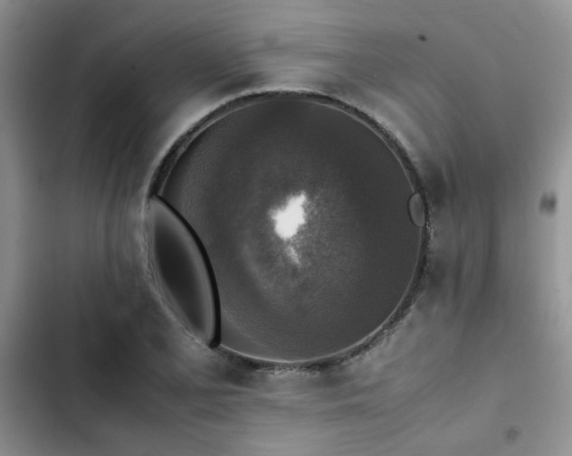 X0000102861077200808181435