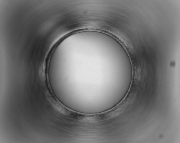 X0000102861078200808181435