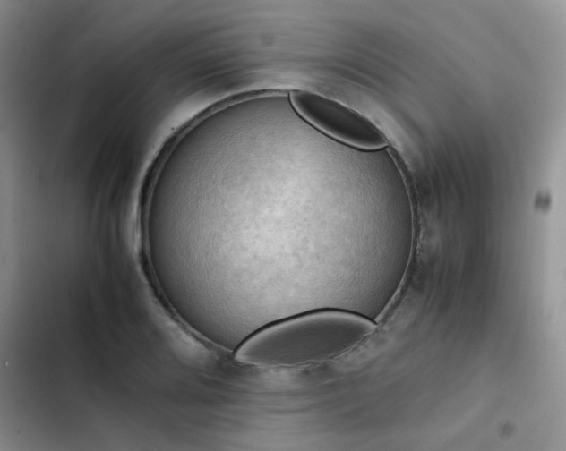 X0000102861080200808181435