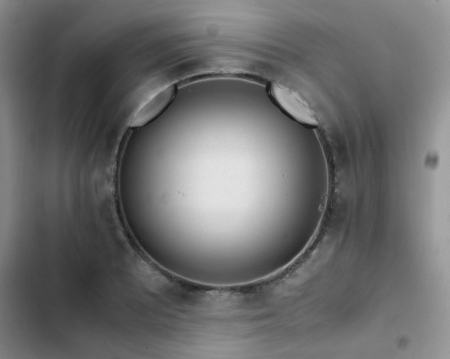 X0000102861081200808181435