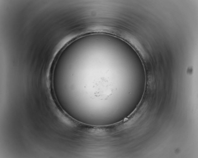 X0000102861082200808181435