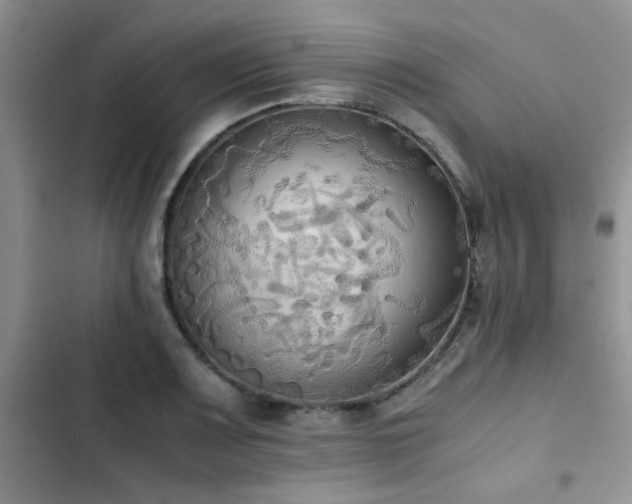 X0000102861083200808181435