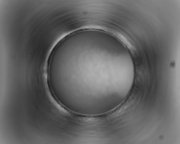 X0000102861084200808181435