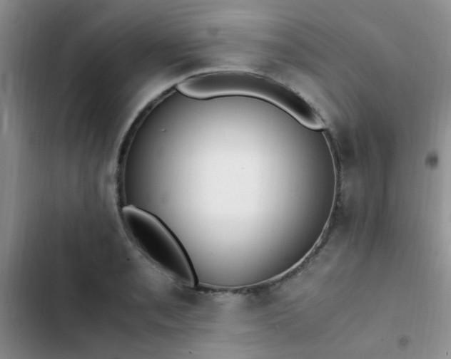 X0000102861085200808181435