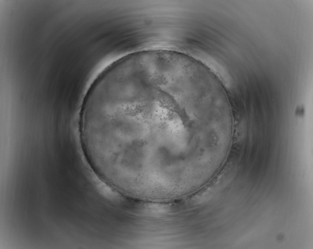 X0000102861086200808181435