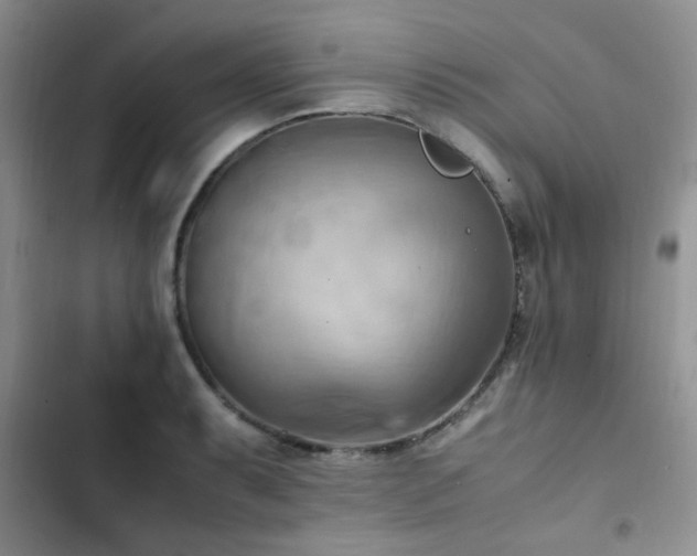 X0000102861087200808181435