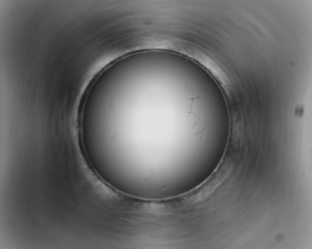 X0000102861088200808181435