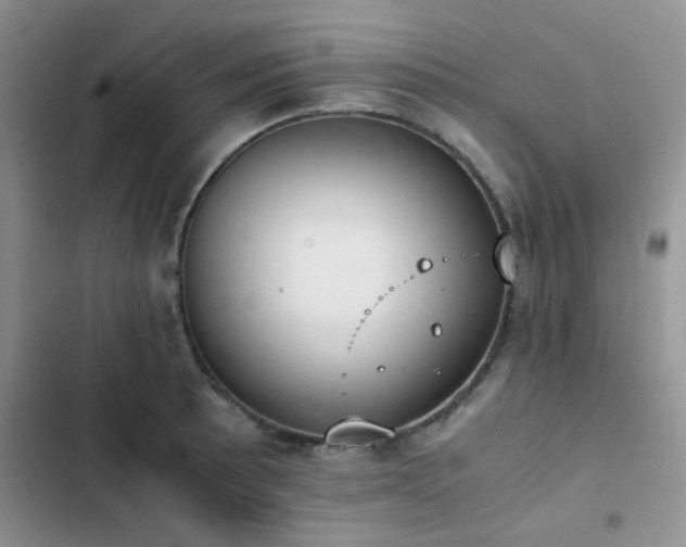 X0000102861089200808181435