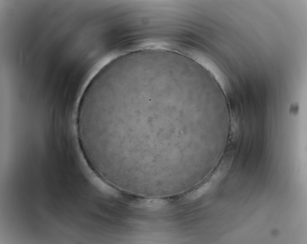 X0000102861090200808181435