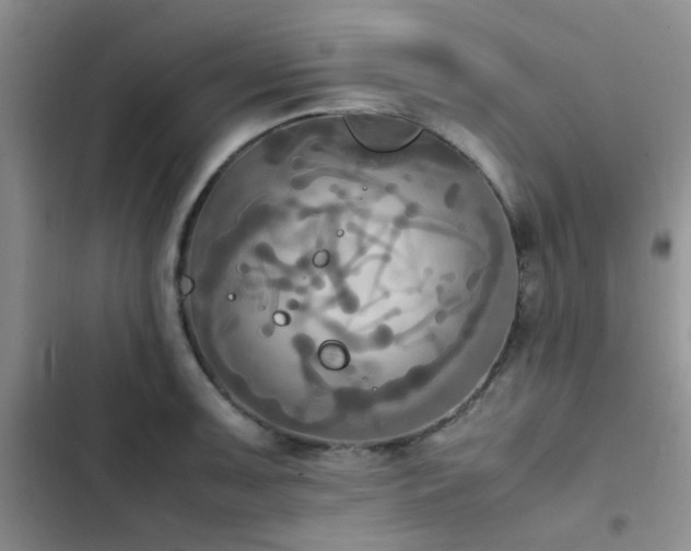 X0000102861091200808181435