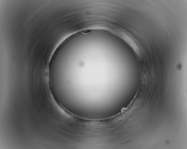 X0000102861092200808181435