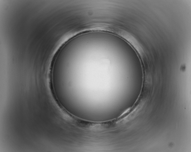 X0000102861093200808181435