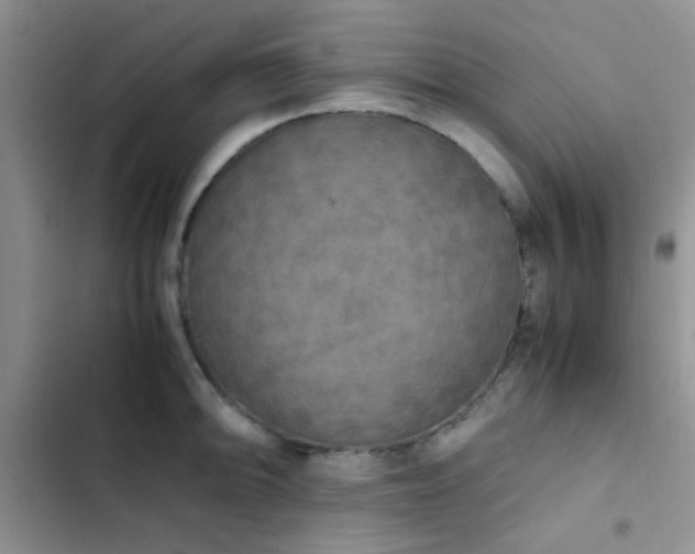 X0000102861094200808181435