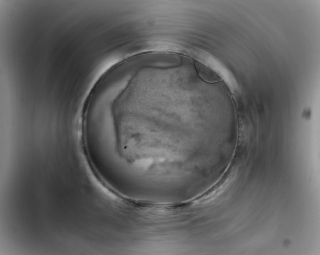 X0000102861095200808181435