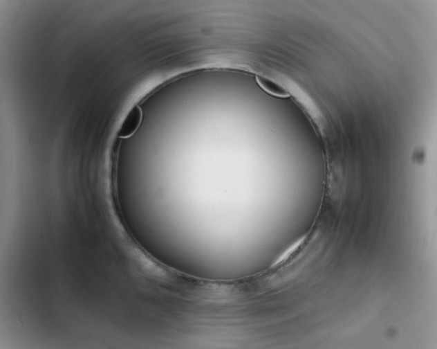 X0000102861096200808181435