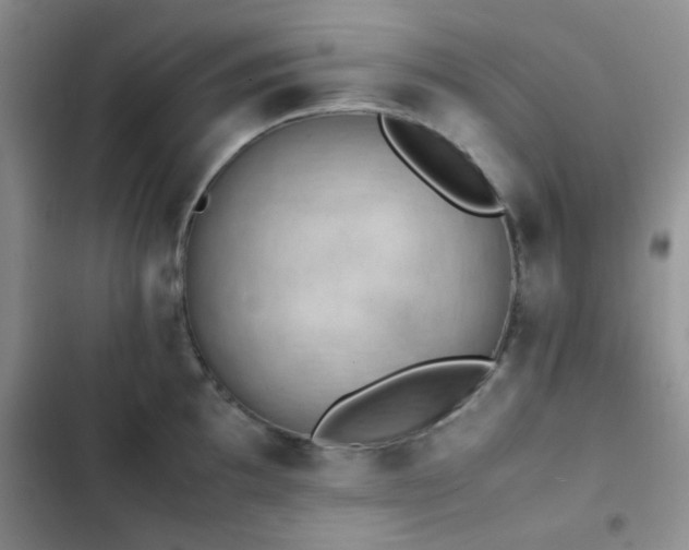 X0000102861097200808181435