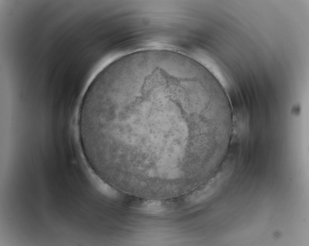 X0000102861098200808181435