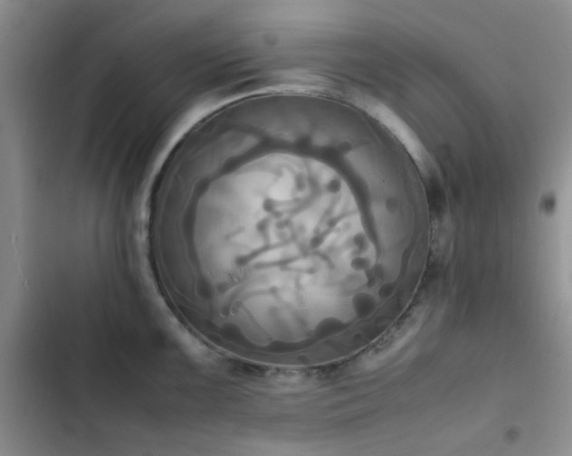 X0000102861099200808181435