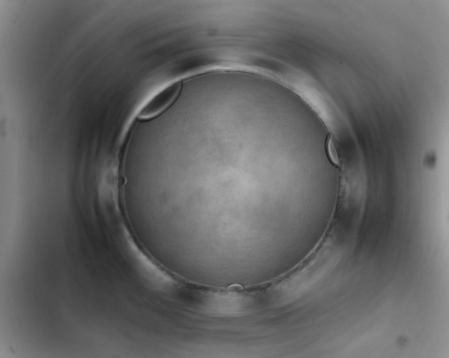 X0000102861100200808181435