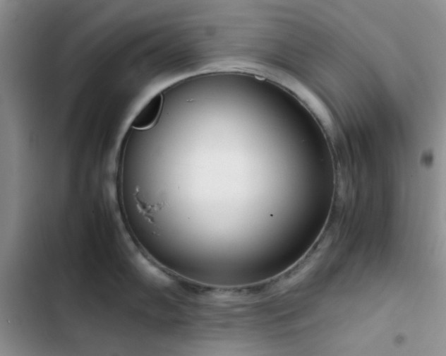 X0000102861102200808181435