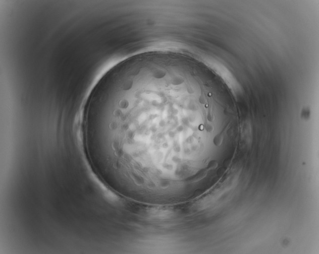 X0000102861103200808181435