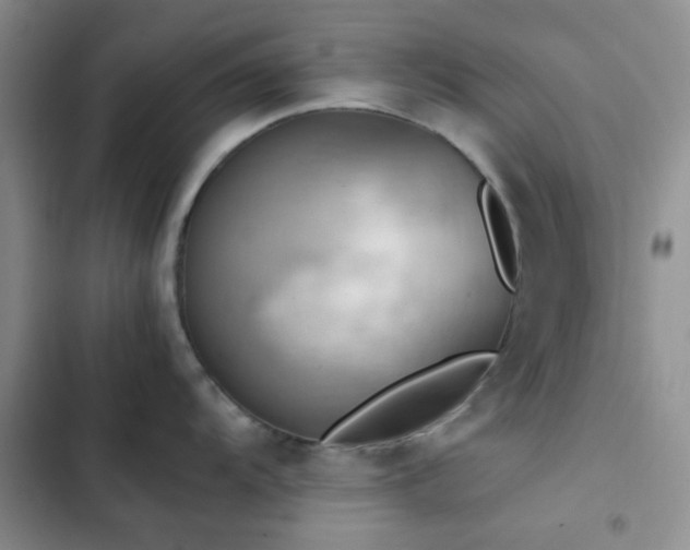 X0000102861104200808181435