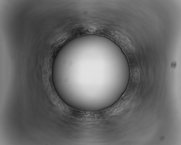 X0000102861105200808181434